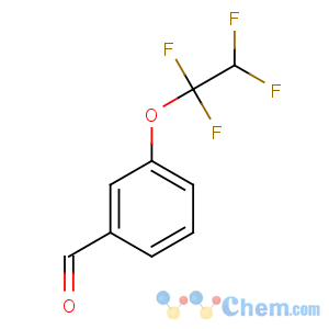 CAS No:35295-35-3 3-(1,1,2,2-tetrafluoroethoxy)benzaldehyde