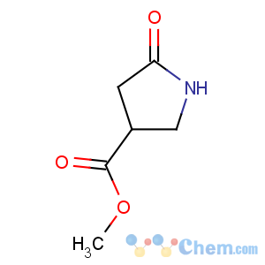 CAS No:35309-35-4 methyl 5-oxopyrrolidine-3-carboxylate