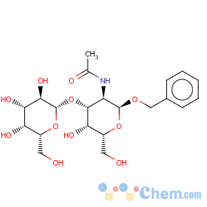 CAS No:3554-96-9 a-D-Galactopyranoside,phenylmethyl 2-(acetylamino)-2-deoxy-3-O-b-D-galactopyranosyl-