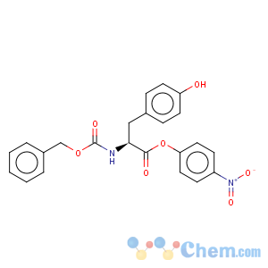 CAS No:3556-56-7 L-Tyrosine,N-[(phenylmethoxy)carbonyl]-, 4-nitrophenyl ester