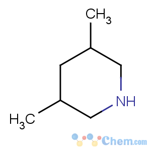 CAS No:35794-11-7 3,5-dimethylpiperidine