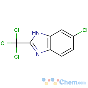 CAS No:3584-66-5 6-chloro-2-(trichloromethyl)-1H-benzimidazole