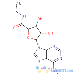CAS No:35920-39-9 b-D-Ribofuranuronamide,1-(6-amino-9H-purin-9-yl)-1-deoxy-N-ethyl-