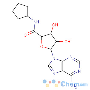 CAS No:35920-40-2 b-D-Ribofuranuronamide,1-(6-amino-9H-purin-9-yl)-N-cyclopentyl-1-deoxy-