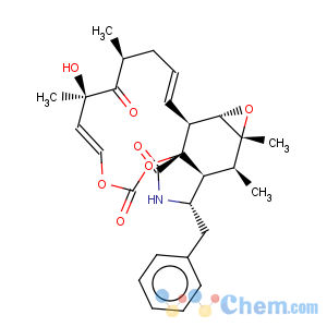 CAS No:36011-19-5 Cytochalasin E