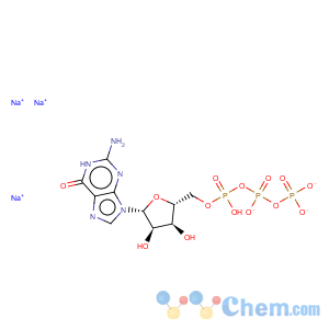 CAS No:36051-31-7 Guanosine 5'-triphosphate trisodium salt