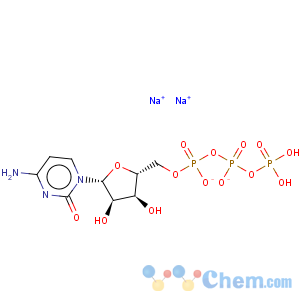 CAS No:36051-68-0 Cytidine-5'-triphosphate disodium salt