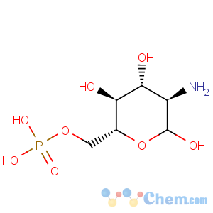 CAS No:3616-42-0 D-Glucose,2-amino-2-deoxy-, 6-(dihydrogen phosphate)