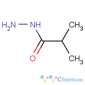 CAS No:3619-17-8 2-methylpropanehydrazide