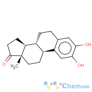 CAS No:362-06-1 2-Hydroxyestrone