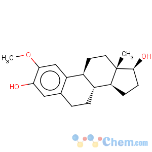 CAS No:362-07-2 2-Methoxyestradiol