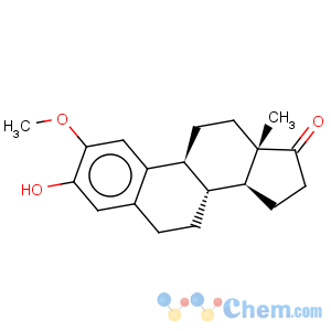 CAS No:362-08-3 Estra-1,3,5(10)-trien-17-one,3-hydroxy-2-methoxy-