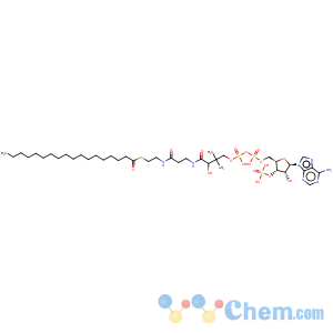 CAS No:362-66-3 Coenzyme A,S-octadecanoate