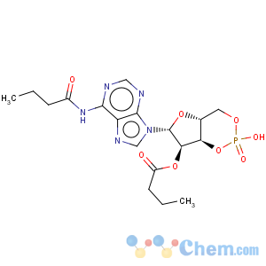 CAS No:362-74-3 Bucladesine