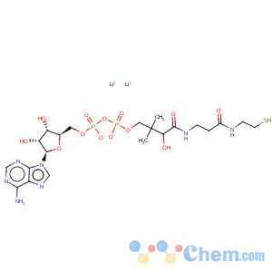 CAS No:3633-59-8 Coenzyme A,3'-O-dephosphono-
