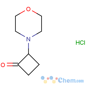 CAS No:36461-20-8 2-morpholin-4-ylcyclobutan-1-one