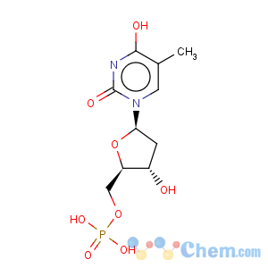 CAS No:365-07-1 Thymidine-5'-monophosphoric acid