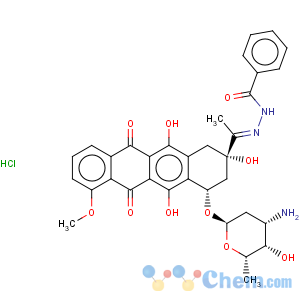 CAS No:36508-71-1 Benzoic acid,2-[1-[(2S,4S)-4-[(3-amino-2,3,6-trideoxy-a-L-lyxo-hexopyranosyl)oxy]-1,2,3,4,6,11-hexahydro-2,5,12-trihydroxy-7-methoxy-6,11-dioxo-2-naphthacenyl]ethylidene]hydrazide,hydrochloride (1:1)