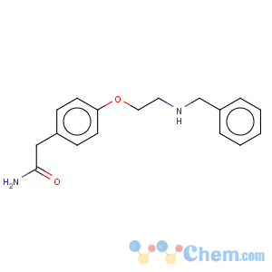 CAS No:36616-22-5 4-(benzylaminoethoxy)-phenylacetamide