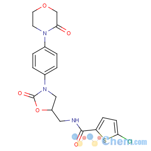 CAS No:366789-02-8 5-chloro-N-[[(5S)-2-oxo-3-[4-(3-oxomorpholin-4-yl)phenyl]-1,<br />3-oxazolidin-5-yl]methyl]thiophene-2-carboxamide