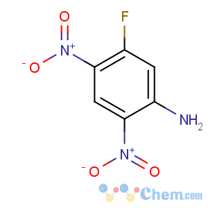 CAS No:367-81-7 5-fluoro-2,4-dinitroaniline