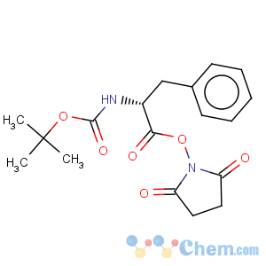 CAS No:3674-18-8 D-Phenylalanine,N-[(1,1-dimethylethoxy)carbonyl]-, 2,5-dioxo-1-pyrrolidinyl ester