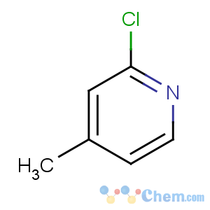 CAS No:3678-62-4 2-chloro-4-methylpyridine