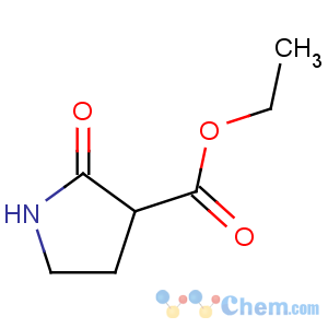 CAS No:36821-26-8 ethyl 2-oxopyrrolidine-3-carboxylate