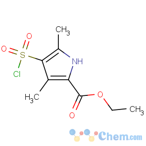 CAS No:368869-88-9 ethyl 4-chlorosulfonyl-3,5-dimethyl-1H-pyrrole-2-carboxylate