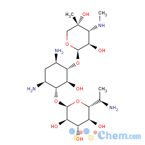 CAS No:36889-16-4 D-Streptamine,O-6-amino-6,7-dideoxy-D-glycero-a-D-gluco-heptopyranosyl-(1®