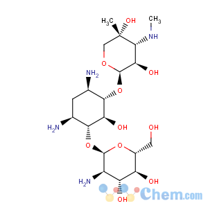 CAS No:36889-17-5 D-Streptamine,O-2-amino-2-deoxy-a-D-glucopyranosyl-(1®