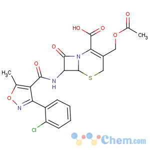 CAS No:36920-48-6 (6R,7R)-3-(acetyloxymethyl)-7-[[3-(2-chlorophenyl)-5-methyl-1,<br />2-oxazole-4-carbonyl]amino]-8-oxo-5-thia-1-azabicyclo[4.2.0]oct-2-ene-2-<br />carboxylic acid
