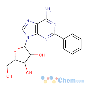 CAS No:37151-14-7 (2R,3R,4S,5R)-2-(6-amino-2-phenylpurin-9-yl)-5-(hydroxymethyl)oxolane-3,<br />4-diol