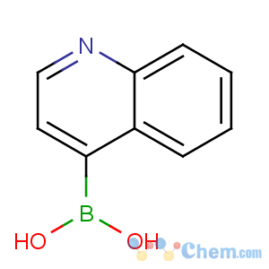 CAS No:371764-64-6 quinolin-4-ylboronic acid