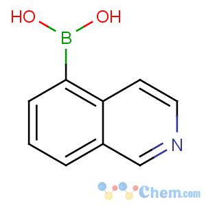 CAS No:371766-08-4 isoquinolin-5-ylboronic acid