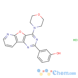 CAS No:371935-79-4 3-(4-morpholin-4-ylpyrido[2,3]furo[2,<br />4-b]pyrimidin-2-yl)phenol;hydrochloride
