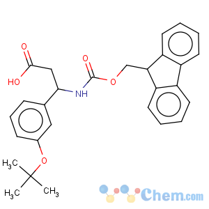 CAS No:372144-16-6 Benzenepropanoic acid,3-(1,1-dimethylethoxy)-b-[[(9H-fluoren-9-ylmethoxy)carbonyl]amino]-