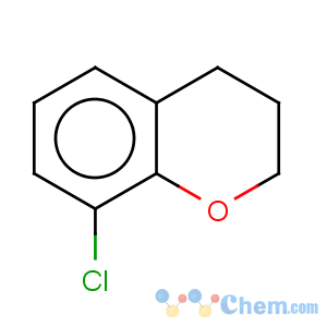 CAS No:3722-69-8 8-Chlorochromane