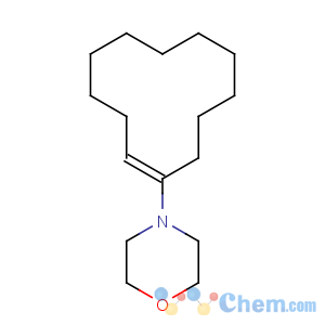 CAS No:3725-39-1 1-Morpholinocyclododecene