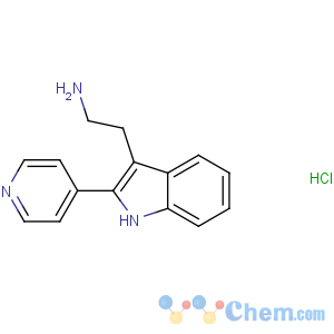 CAS No:374064-06-9 2-(2-pyridin-4-yl-1H-indol-3-yl)ethanamine