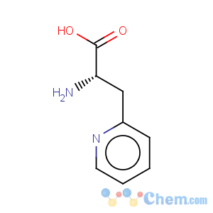 CAS No:37535-51-6 3-(2-Pyridyl)-L-alanine