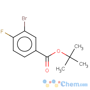 CAS No:375368-94-8 t-Butyl 3-bromo-4-fluorobenzoate