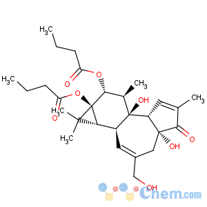CAS No:37558-16-0 Butanoic acid,(1aR,1bS,4aR,7aS,7bS,8R,9R,9aS)-1,1a,1b,4,4a,5,7a,7b,8,9-decahydro-4a,7b-dihydroxy-3-(hydroxymethyl)-1,1,6,8-tetramethyl-5-oxo-9aH-cyclopropa[3,4]benz[1,2-e]azulene-9,9a-diylester