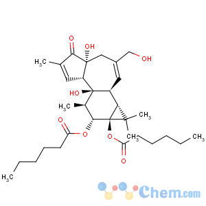 CAS No:37558-17-1 Hexanoic acid,1,1'-[(1aR,1bS,4aR,7aS,7bS,8R,9R,9aS)-1,1a,1b,4,4a,5,7a,7b,8,9-decahydro-4a,7b-dihydroxy-3-(hydroxymethyl)-1,1,6,8-tetramethyl-5-oxo-9aH-cyclopropa[3,4]benz[1,2-e]azulene-9,9a-diyl]ester