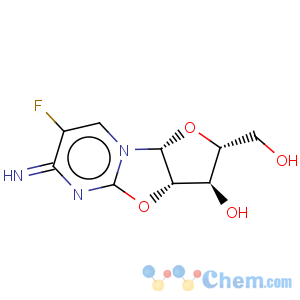 CAS No:37717-21-8 Flurocitabine