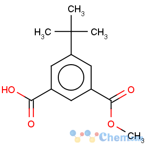 CAS No:377731-29-8 5-tert-Butyl-isophthalic acid monomethyl ester