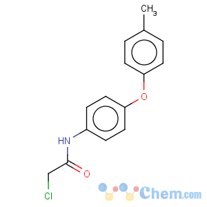 CAS No:38008-32-1 2-chloro-N-[4-(4-methylphenoxy)phenyl]acetamide