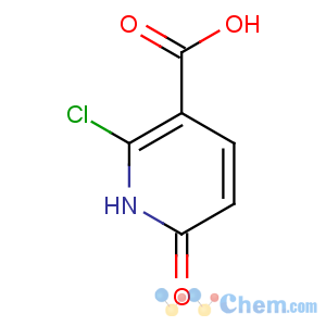 CAS No:38025-90-0 2-chloro-6-oxo-1H-pyridine-3-carboxylic acid