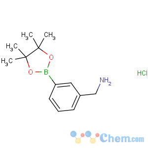 CAS No:380430-65-9 [3-(4,4,5,5-tetramethyl-1,3,<br />2-dioxaborolan-2-yl)phenyl]methanamine