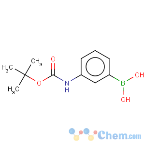 CAS No:380430-68-2 (3-BOC-aminophenyl)boronic acid